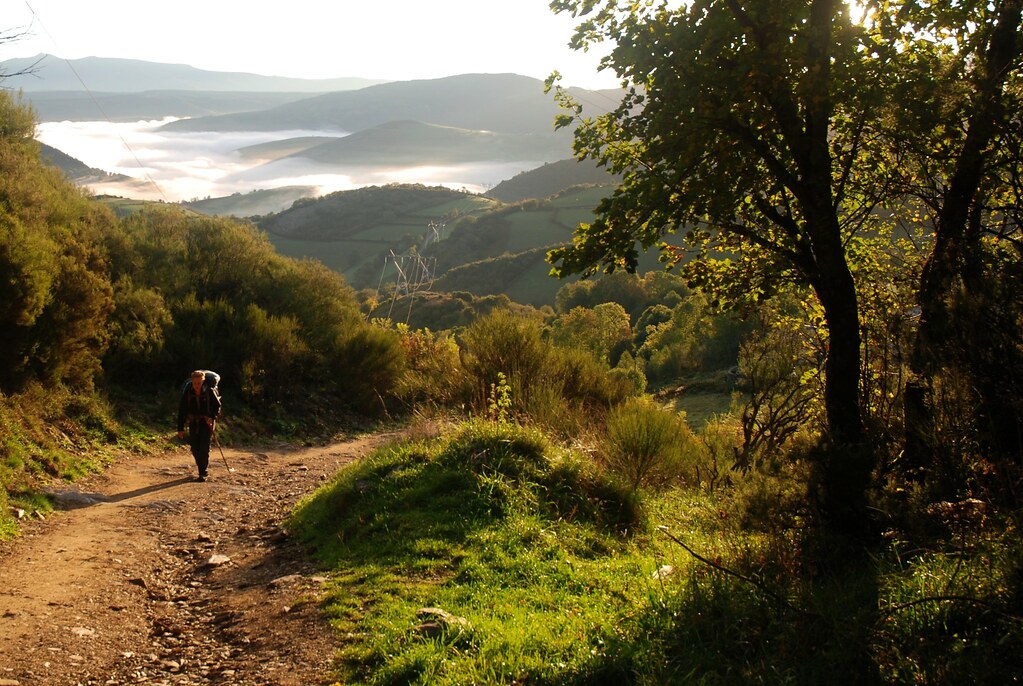 Cómo elegir el terreno ideal para una casa modular en Galicia
